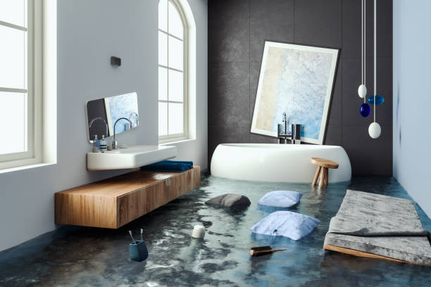 Best Sewage cleanup and water damage restoration  in Edinburg, IL