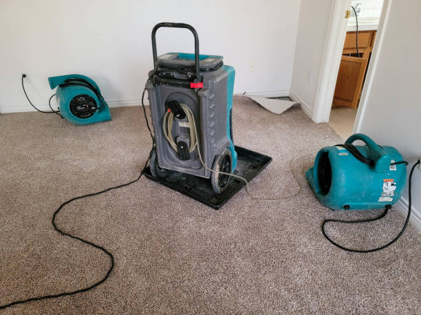 Best Flood damage cleanup  in Edinburg, IL