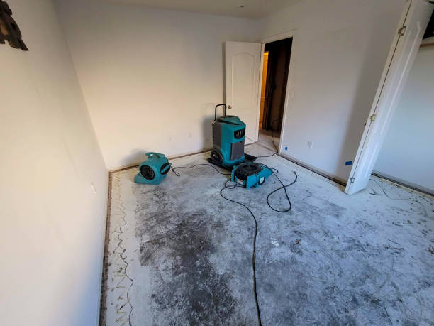 Best Water damage restoration near me  in Edinburg, IL