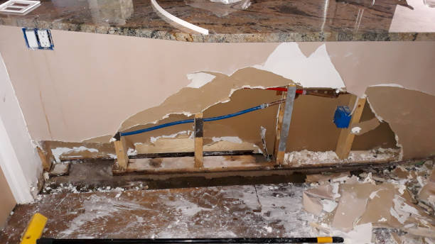 Best Emergency water damage restoration  in Edinburg, IL