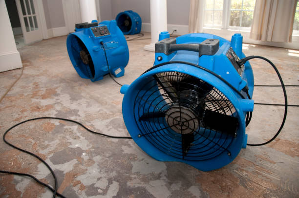 Best Water damage contractors near me  in Edinburg, IL