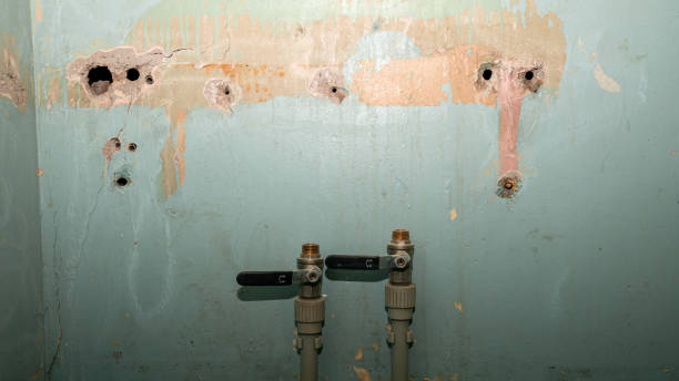 Best Water damage restoration process  in Edinburg, IL