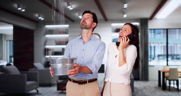 Best Water damage contractors near me  in Edinburg, IL