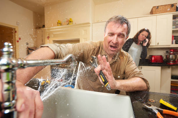 Best Fire Damage Restoration  in Edinburg, IL